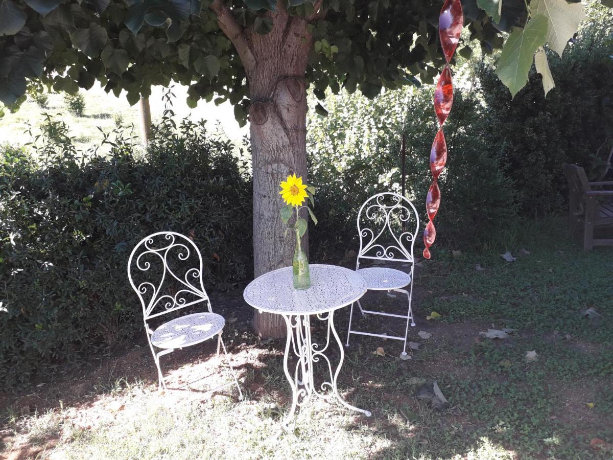 B&B La Riundela Asti Extérieur photo